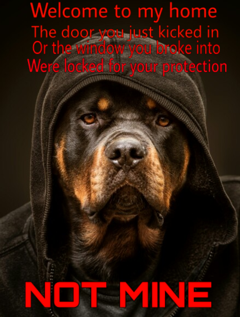 rzewucki.com